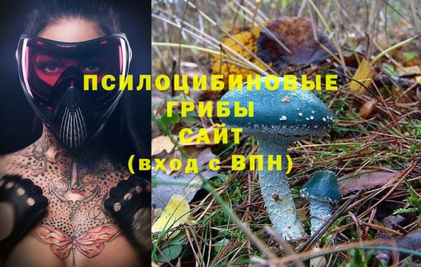 прущая мука Волоколамск