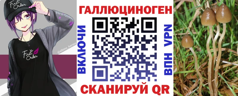 Галлюциногенные грибы GOLDEN TEACHER  ОМГ ОМГ зеркало  Эртиль 